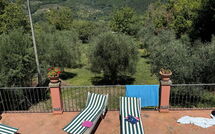 Foto lämnats av gäst på Casa Vania