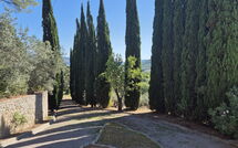 Foto lämnats av gäst på Villa Uccellaia