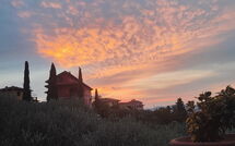 Foto lämnats av gäst på Casa Vania