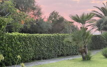 Foto lämnats av gäst på Cala Marina