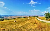 Foto lämnats av gäst på Casale Santa Francesca