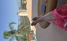 Foto lämnats av gäst på Villa Kois