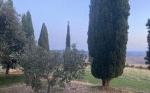 Foto lämnats av gäst på Casale Santa Francesca