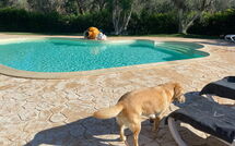 Foto lämnats av gäst på Lamia Santo Arcangelo