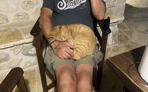 Foto lämnats av gäst på Villa Armonia