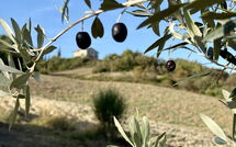 Foto lämnats av gäst på Villa San Michele