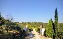 Foto lämnats av gäst på Podere Romina - Bandita Apartment