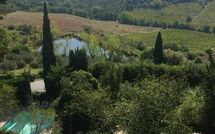 Foto lämnats av gäst på Montegufoni