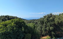 Foto lämnats av gäst på Villa di Giovanni