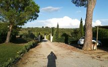 Foto lämnats av gäst på Podere Romina - Belvedere Apartment