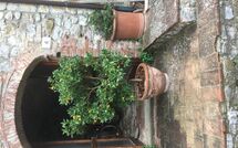 Foto lämnats av gäst på La Ruota