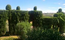 Foto lämnats av gäst på Montegufoni