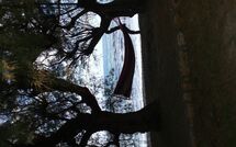 Foto lämnats av gäst på Villa Romantic Sevi