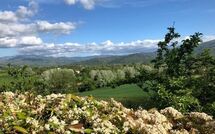 Foto lämnats av gäst på Casale Giotto