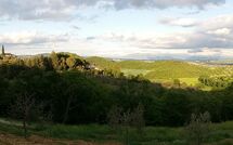 Foto lämnats av gäst på Villa Uccellaia