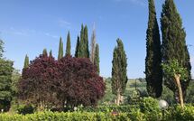 Foto lämnats av gäst på Villa Sabrina