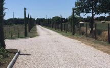 Foto lämnats av gäst på Villa dei Vini