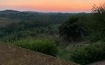 Foto lämnats av gäst på San Carlo