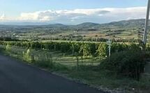 Foto lämnats av gäst på San Carlo