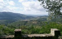 Foto lämnats av gäst på Panzalla