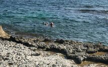 Foto lämnats av gäst på Marisol