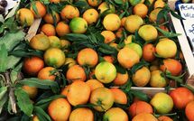 Foto lämnats av gäst på San Carlo