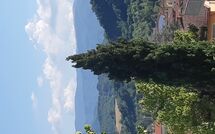 Foto lämnats av gäst på Villa Pratovecchio