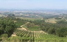 Foto lämnats av gäst på Villa Il Caggio