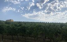 Foto lämnats av gäst på Villa Il Caggio