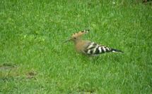 Foto lämnats av gäst på Casa Lucia