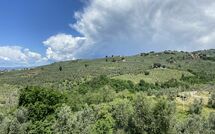 Foto lämnats av gäst på Villa Nora