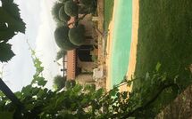 Foto lämnats av gäst på Trullo Santo Stefano