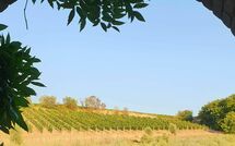 Foto lämnats av gäst på Casa Maria Luisa