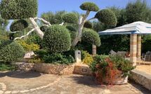 Foto lämnats av gäst på Lamia Santo Arcangelo