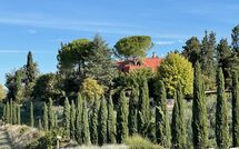 Foto lämnats av gäst på Tenuta Cambiano