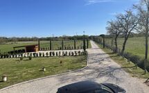 Foto lämnats av gäst på Villa dei Vini