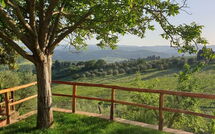 Foto lämnats av gäst på San Guido