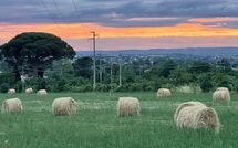 Foto lämnats av gäst på Casale San Martino