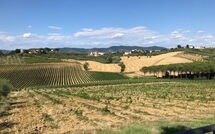 Foto lämnats av gäst på Nicola