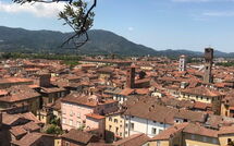 Foto lämnats av gäst på Nicola