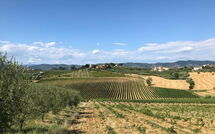 Foto lämnats av gäst på Nicola