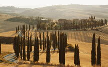 Foto lämnats av gäst på Villa Lauretana