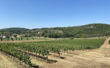 Foto lämnats av gäst på Villa Ulivi