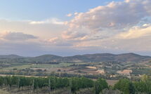 Foto lämnats av gäst på San Carlo