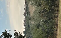 Foto lämnats av gäst på San Carlo