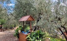 Foto lämnats av gäst på La Ruota