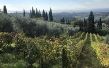 Foto lämnats av gäst på Casa Lucia