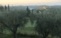 Foto lämnats av gäst på Casa Lucia