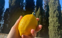 Foto lämnats av gäst på Montegufoni