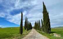 Foto lämnats av gäst på Villa Cassia